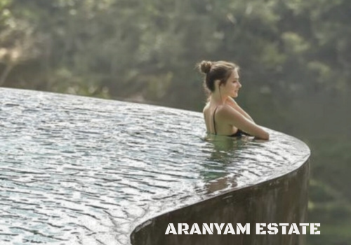 Aranyam Estate feature-image